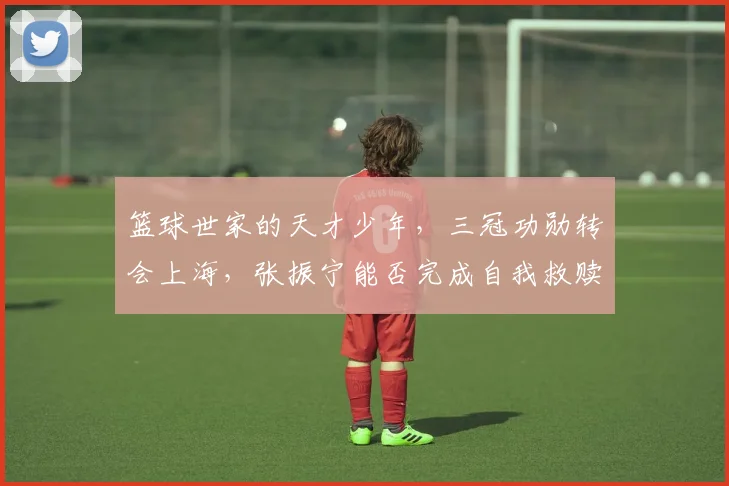 篮球世家的天才少年，三冠功勋转会上海，张振宁能否完成自我救赎