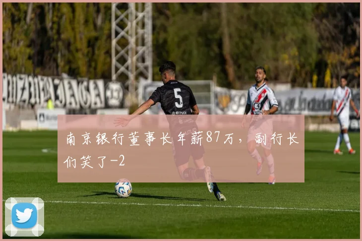 南京银行董事长年薪87万，副行长们笑了