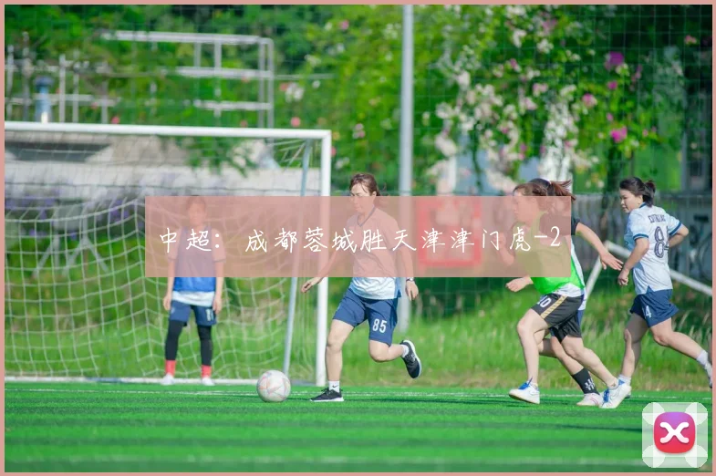 中超：成都蓉城胜天津津门虎