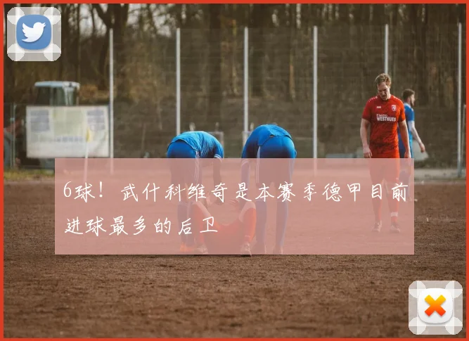 6球！武什科维奇是本赛季德甲目前进球最多的后卫